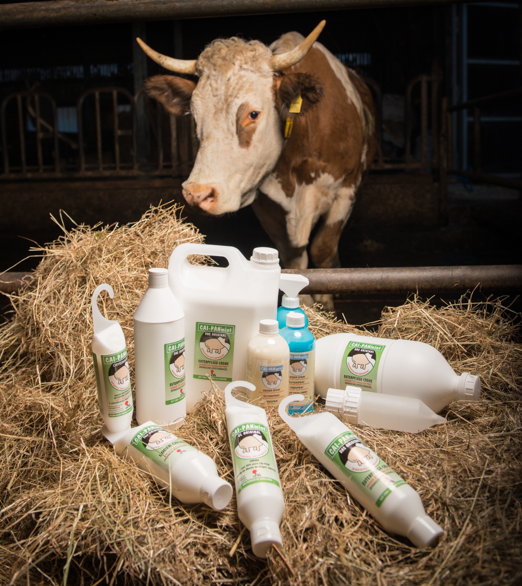 CAI-PAN dairy care products photographed on a farm